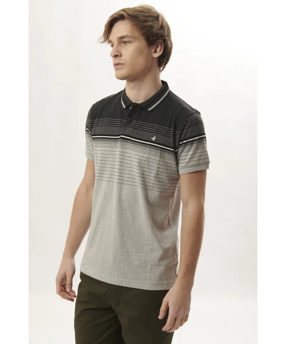 Polo Gary Stripes